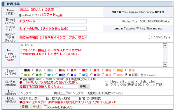 2010年インコカレンダー